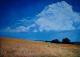 Die Wolke - Serge Bego - Acryl auf Leinwand - Landschaft - Die Wolke - Serge Bego - Acryl auf Leinwand - Landschaft -