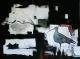 Klima im Wandel - Achim Schmacks - auf Leinwand-Nessel - - Klima im Wandel - Achim Schmacks - auf Leinwand-Nessel - -