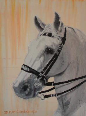 Lippizaner gezäumt - Claudia Lüthi - Array auf Array - Array - Array Lippizaner gezäumt - Claudia Lüthi - Array auf Array - Array - Array