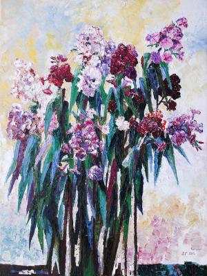 Phlox - Barbara Pommerenke - Array auf Array - Array - Array Phlox - Barbara Pommerenke - Array auf Array - Array - Array