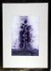 treeslife - jan-niklas rabeneck - auf - Fantastisch-Mystik-Natur - treeslife - jan-niklas rabeneck - auf - Fantastisch-Mystik-Natur -