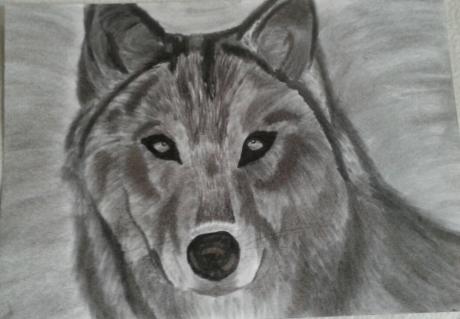Grauer Wolf - Anita Novacek - Array auf - Array - Grauer Wolf - Anita Novacek - Array auf - Array -