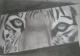 Eye of the tiger - Anita Novacek - Bleistift auf - Mystik-Raubkatzen-Stärke - Eye of the tiger - Anita Novacek - Bleistift auf - Mystik-Raubkatzen-Stärke -