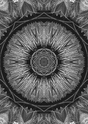 Wunschbrunnen - Susann Mueller - Array auf - Array - Wunschbrunnen - Susann Mueller - Array auf - Array -