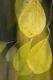 Laubfall - Walter J. Pilsak - auf - Abstrakt-Natur - Laubfall - Walter J. Pilsak - auf - Abstrakt-Natur -