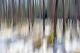Winterende - Walter J. Pilsak - auf - Schnee-Wald - Winterende - Walter J. Pilsak - auf - Schnee-Wald -
