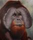 Orang-Utan - Irina Wall - Ãl auf Leinwand - Wildtiere - Naturalismus Orang-Utan - Irina Wall - Ãl auf Leinwand - Wildtiere - Naturalismus