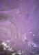 Jungfrau - Carlos Rebell - auf Leinwand - Mystik - Jungfrau - Carlos Rebell - auf Leinwand - Mystik -