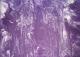 Jungfrau-Unschuld - Carlos Rebell - auf Leinwand - Mystik - Jungfrau-Unschuld - Carlos Rebell - auf Leinwand - Mystik -