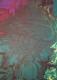 Minotaurus - Carlos Rebell - auf Leinwand - Mystik - Minotaurus - Carlos Rebell - auf Leinwand - Mystik -