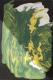 Ferne Welten 015-019 - Carlos Rebell - Acryl auf Leinwand - Fantastisch - Ferne Welten 015-019 - Carlos Rebell - Acryl auf Leinwand - Fantastisch -
