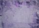 2 violette Kamele - Carlos Rebell - Acryl auf Leinwand - Geschichte - 2 violette Kamele - Carlos Rebell - Acryl auf Leinwand - Geschichte -