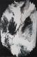 Ferne Welten 1-003-021 - Carlos Rebell - Acryl auf Leinwand - Fantastisch - Ferne Welten 1-003-021 - Carlos Rebell - Acryl auf Leinwand - Fantastisch -