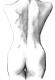 FRAUENAKT_26 - NN WELT - Tinte-Tusche auf - weiblich - FRAUENAKT_26 - NN WELT - Tinte-Tusche auf - weiblich -