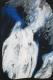 FERNE Welten 3-020-003 - Carlos Rebell - Acryl auf Leinwand - Fantastisch - FERNE Welten 3-020-003 - Carlos Rebell - Acryl auf Leinwand - Fantastisch -