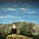 Rocky Mountain High - Conny Krakowski - Acryl auf Leinwand - Tiere - Fotorealismus Rocky Mountain High - Conny Krakowski - Acryl auf Leinwand - Tiere - Fotorealismus