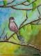 Frühlingzwitschern - Claudia Diaz - Pastell auf Papier - Vögel - Frühlingzwitschern - Claudia Diaz - Pastell auf Papier - Vögel -