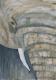 --- - Stefanie Schaefer - Acryl auf Leinwand - - Abstrakt --- - Stefanie Schaefer - Acryl auf Leinwand - - Abstrakt