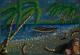 Am Strand 2 - Claudia Diaz - Pastell auf Pappe - Bäume-Himmel-Meer-Wolken - Am Strand 2 - Claudia Diaz - Pastell auf Pappe - Bäume-Himmel-Meer-Wolken -
