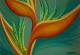 Paradiesblume 2 - Claudia Diaz - Pastell auf Pappe - Blumen - Paradiesblume 2 - Claudia Diaz - Pastell auf Pappe - Blumen -