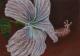 Lilie - Claudia Diaz - Pastell auf Pappe - Blumen - Naturalismus Lilie - Claudia Diaz - Pastell auf Pappe - Blumen - Naturalismus
