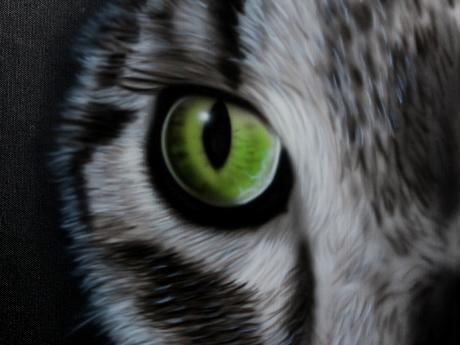 Katzenauge - Andreas Krüchten - Array auf Array - Array - Array Katzenauge - Andreas Krüchten - Array auf Array - Array - Array