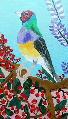 Gouldamadine - Carina Ramlow - Array auf Array - Array - Gouldamadine - Carina Ramlow - Array auf Array - Array -