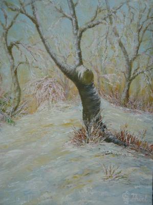 Wald im Winter - - Thiel - Array auf Array - Array - Wald im Winter - - Thiel - Array auf Array - Array -