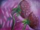 Die selbe Blickrichtung - Gisela Frosch - Ãl auf Leinwand - Blumen - Die selbe Blickrichtung - Gisela Frosch - Ãl auf Leinwand - Blumen -