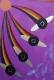 Rainbow - Gisela Frosch - Ãl auf Leinwand - Abstrakt-Fantastisch - Rainbow - Gisela Frosch - Ãl auf Leinwand - Abstrakt-Fantastisch -