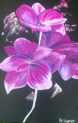 --- - Aleks Wagner - Array auf Array - Array - --- - Aleks Wagner - Array auf Array - Array -