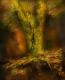 Zauberbaum - Anke Brehm - DigitaleKunst auf - Fantastisch-Mystik-Bäume - Zauberbaum - Anke Brehm - DigitaleKunst auf - Fantastisch-Mystik-Bäume -