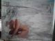 Girl von Board - Gaby Uckert - Fotocollage auf - - Girl von Board - Gaby Uckert - Fotocollage auf - -