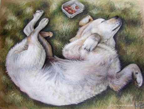 Golden Welpe - Nicole Zeug - Array auf - Array - Golden Welpe - Nicole Zeug - Array auf - Array -