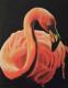 Flamingo - Dirk Hermann - Ãl auf Leinwand - Vögel - Naturalismus Flamingo - Dirk Hermann - Ãl auf Leinwand - Vögel - Naturalismus