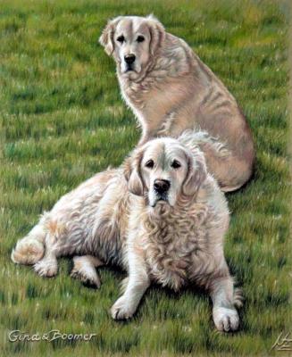 Golden Retriever 2 - Nicole Zeug - Array auf - Array - Golden Retriever 2 - Nicole Zeug - Array auf - Array -