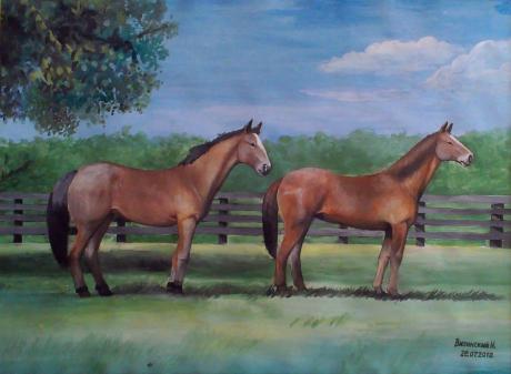 Pferde - Vilinskiy Nic - Array auf Array - Array - Array