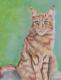 Katze Lajana - Katja Humbs - Acryl auf Leinwand - Katzen - Realismus Katze Lajana - Katja Humbs - Acryl auf Leinwand - Katzen - Realismus