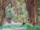Frodo liest - Katja Humbs - Aquarell-Mischtechnik-Pastell auf Papier - Fantastisch-Bäume-Wald - Frodo liest - Katja Humbs - Aquarell-Mischtechnik-Pastell auf Papier - Fantastisch-Bäume-Wald -