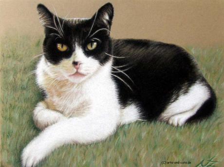 Kater Baloo - Nicole Zeug - Array auf - Array - Kater Baloo - Nicole Zeug - Array auf - Array -