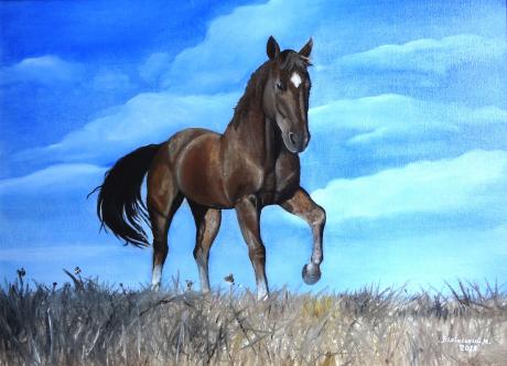 Steppenpferd - Vilinskiy Nic - Array auf - Array - Steppenpferd - Vilinskiy Nic - Array auf - Array -