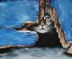 Cat 1 - Rebecca Tecla - Ãl auf - Sonstiges - Figuration Cat 1 - Rebecca Tecla - Ãl auf - Sonstiges - Figuration