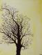 Yellow Tree - Sabrina Kudrna - auf - Bäume - Yellow Tree - Sabrina Kudrna - auf - Bäume -