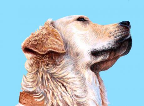 Golden PopArt Blue - Nicole Zeug - Array auf - Array - Golden PopArt Blue - Nicole Zeug - Array auf - Array -