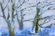 Am See.2 - Teresa Miosga - Acryl auf Papier - FluÃ-Wald - Expressionismus-Naturalismus Am See.2 - Teresa Miosga - Acryl auf Papier - FluÃ-Wald - Expressionismus-Naturalismus