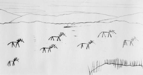 Fernwanderwild - Lisa Dunkelmann - Array auf - Array - Fernwanderwild - Lisa Dunkelmann - Array auf - Array -