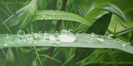 One day after the rain V - Tamara Valdovino - Array auf Array - Array - Array One day after the rain V - Tamara Valdovino - Array auf Array - Array - Array