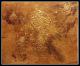 Tanz der Sterne - monika allenbach - -Reliefs-Acryl-Mischtechnik auf Leinwand - - Tanz der Sterne - monika allenbach - -Reliefs-Acryl-Mischtechnik auf Leinwand - -