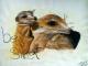 Familienbande - BE SWEET - Susanne Brodkorb - Aquarell auf Papier - Wildtiere - Naturalismus Familienbande - BE SWEET - Susanne Brodkorb - Aquarell auf Papier - Wildtiere - Naturalismus
