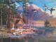 Holzhaus am Waldrand - Admir Gabela - Ãl auf - - Holzhaus am Waldrand - Admir Gabela - Ãl auf - -